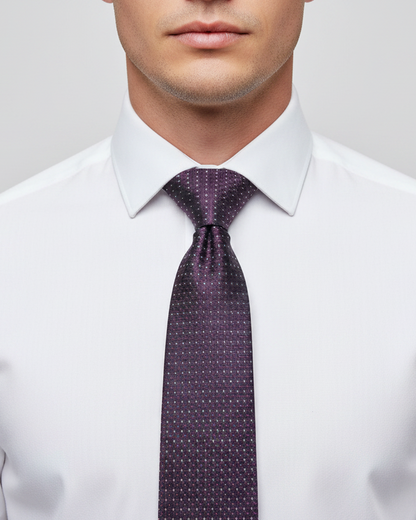 Kanthlangot Purple-Silver Microfibre Necktie